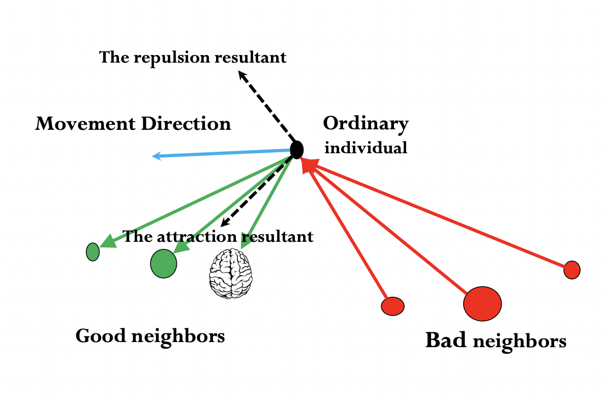 Multi Objective Brado